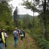 09 b Schluchensteig Etappe 4 - 6